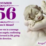 Numerology number 456