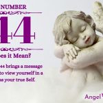 Numerology number 544