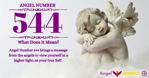 Numerology number 544