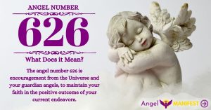 Numerology number 626