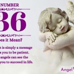 Numerology number 636