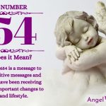 Numerology number 654