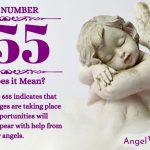 Numerology number 655
