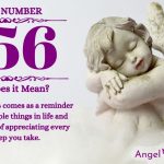 Numerology number 656