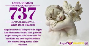 Numerology number 737