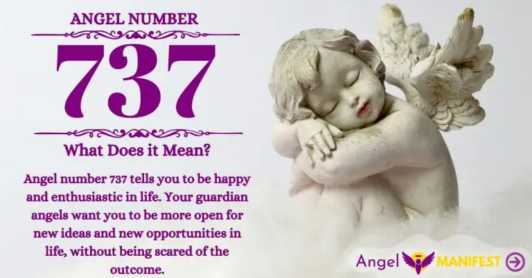 Numerology number 737