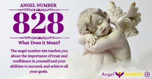 Numerology number 828