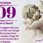 Numerology number 909
