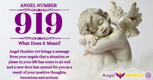 Numerology number 919