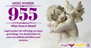 Numerology number 955