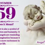 Numerology number 959