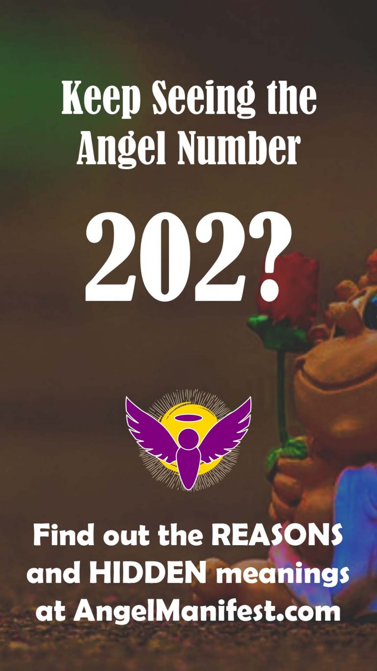 Angel Number 202 Meaning And Reasons Why You Are Seeing Angel Manifest