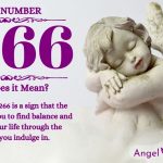Numerology number 2266