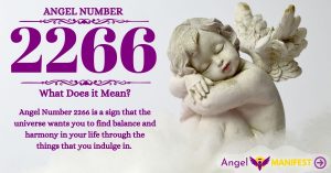 Numerology number 2266