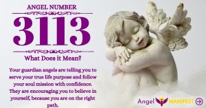 numerology number 3113