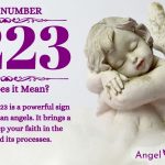 Numerology number 3223
