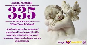 numerology number 335