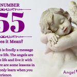 numerology number 355