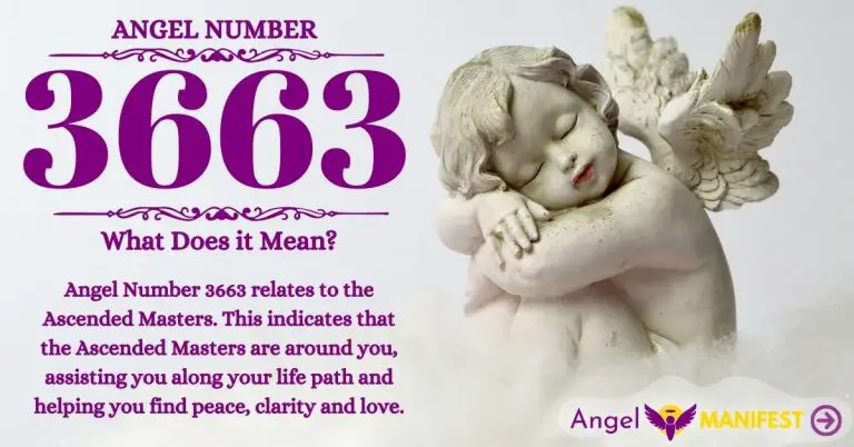 Numerology number 3663