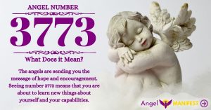 Numerology number 3773