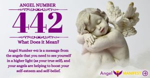 Numerology number 442