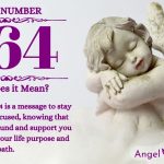 Numerology number 464