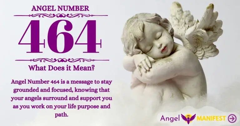 Numerology number 464
