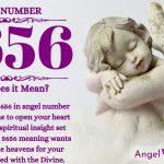 Numerology number 5656