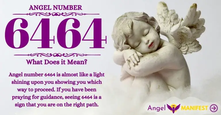 Numerology number 6464