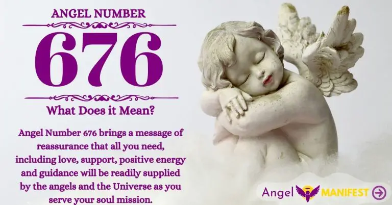 Numerology number 676