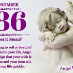 Numerology number 686
