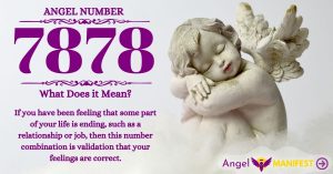 Numerology number 7878