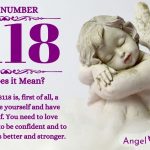 Numerology number 8118