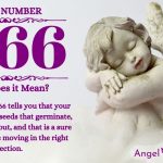 Numerology number 1166