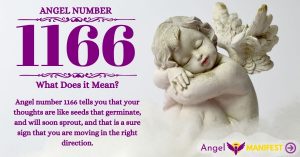 Numerology number 1166