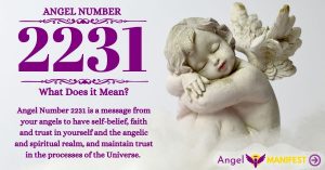 Numerology number 2231