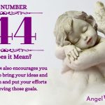 Numerology Number 244