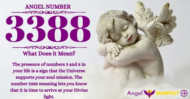 Numerology number 3388