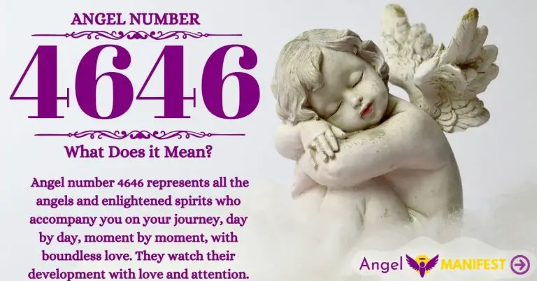 Numerology number 4646