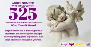 Numerology number 525