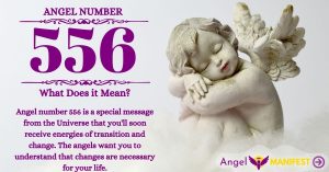 Numerology Number 556