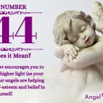 Numerology Number 644