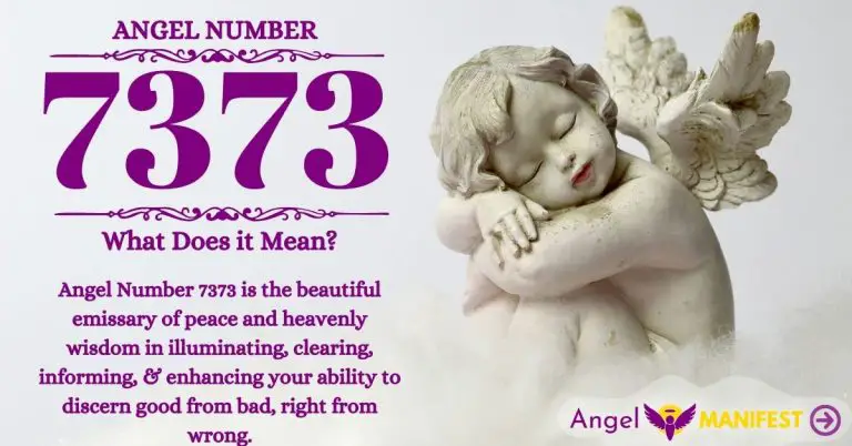 Numerology number 7373