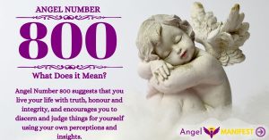 Numerology number 800