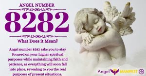 Numerology number 8282