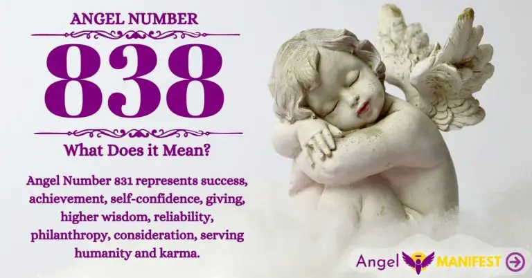 Numerology number 838