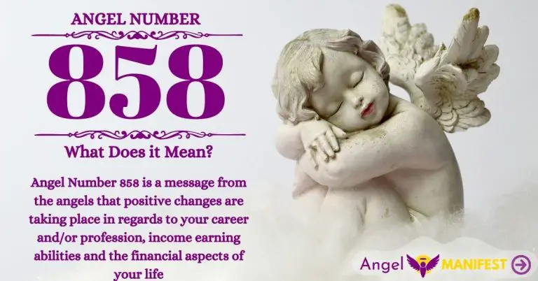 Numerology number 858