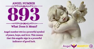 Numerology number 893