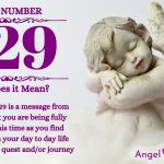 Numerology number 929