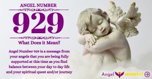 Numerology number 929